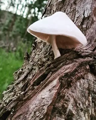 Apart-Hotel Casa de Piedra Lavalleja