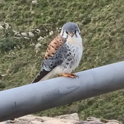 Apart-Hotel Casa de Piedra Lavalleja