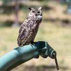 Apart-Hotel Casa de Piedra Lavalleja