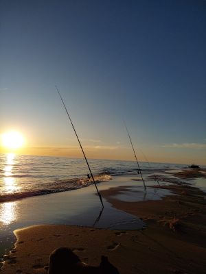 Small farm Pura Vida: Casa de Campo y Playa San Jose