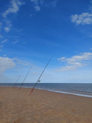 Small farm Pura Vida: Casa de Campo y Playa San Jose