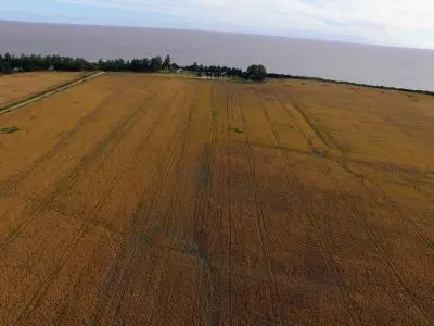 Small farm Pura Vida: Casa de Campo y Playa San Jose