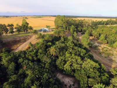 Small farm Pura Vida: Casa de Campo y Playa San Jose