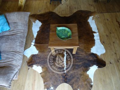 Nordica Chica - Villa Serrana