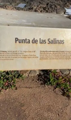 Punta de las Salinas