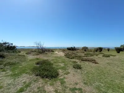 House Palmar La Paloma