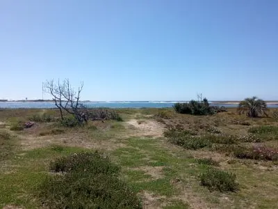 House Palmar La Paloma