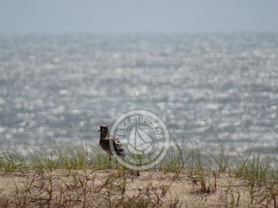 Las Rochas,Suites de Mar - Punta del Diablo .- Foto del 9/12/23, 8:53