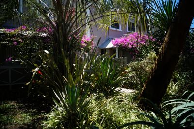 Houses|Cabins|Aptos|Villas... Posada Del Corumbá Aparthotel La Paloma