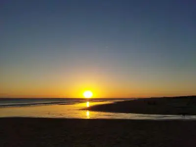 Venus - Anaconda - La paloma