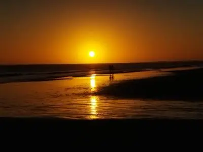 Venus - Anaconda - La paloma