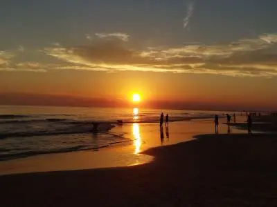 Venus - Anaconda - La paloma