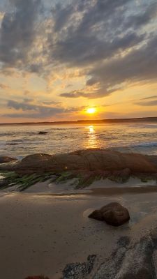 Hostels / Bed & Breakfast Lo De Peri Cabo Polonio