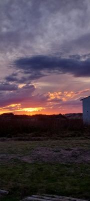 Hostels / Bed & Breakfast Lo De Peri Cabo Polonio