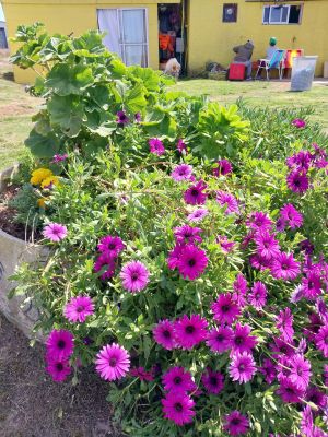 Hostels / Bed & Breakfast Lo De Peri Cabo Polonio