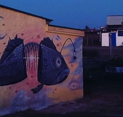 Hostels / Bed & Breakfast Lo De Peri Cabo Polonio