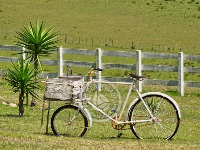 Chacra La Ariscona Maldonado