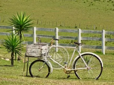 Chacra La Ariscona Maldonado