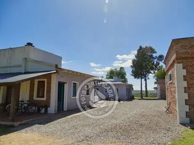 Chacra La Ariscona Maldonado