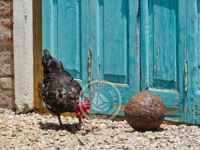 Chacra La Ariscona Maldonado