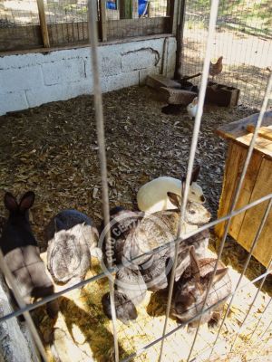 Chacra La Ariscona Maldonado