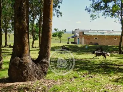Chacra La Ariscona Maldonado