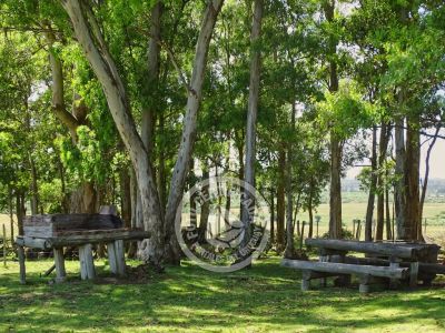 Chacra La Ariscona Maldonado