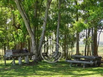 Chacra La Ariscona Maldonado