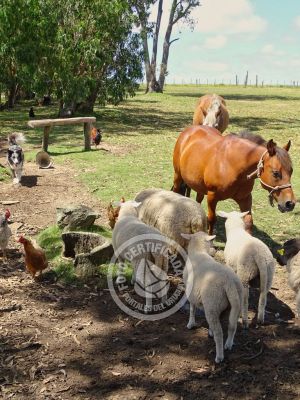 Chacra La Ariscona Maldonado
