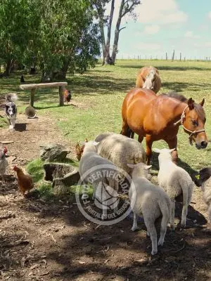 Chacra La Ariscona Maldonado