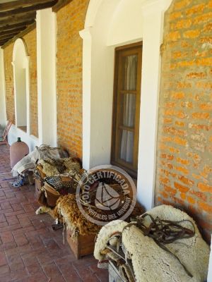 Chacra La Ariscona Maldonado