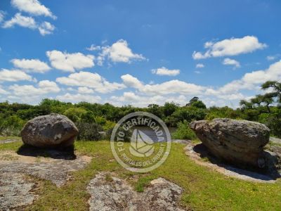 Chacra La Ariscona Maldonado