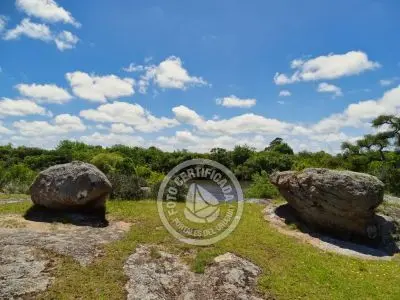 Chacra La Ariscona Maldonado