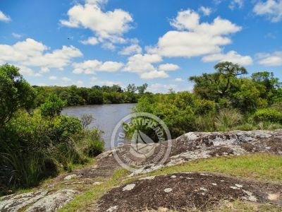 Chacra La Ariscona Maldonado