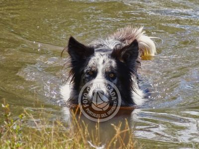 Chacra La Ariscona Maldonado