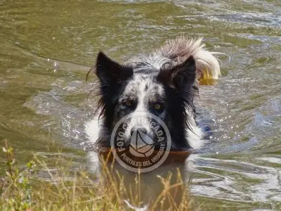 Chacra La Ariscona Maldonado