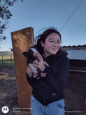 Chacra La Ariscona Maldonado