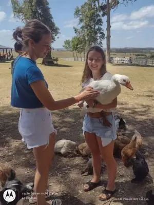 Chacra La Ariscona Maldonado