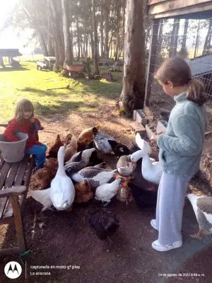 Chacra La Ariscona Maldonado