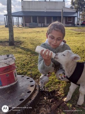 Chacra La Ariscona Maldonado