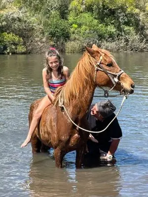 Chacra La Ariscona Maldonado