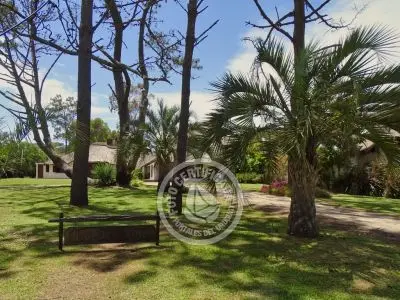 Lo de Guille - La Paloma