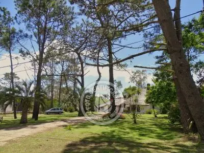 Lo de Guille - La Paloma