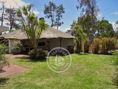 Lo de Guille - La Paloma