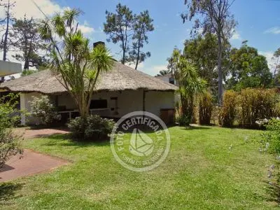 Lo de Guille - La Paloma