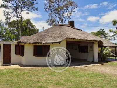 Lo de Guille - La Paloma