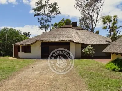 Lo de Guille - La Paloma