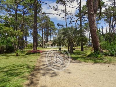 Lo de Guille - La Paloma