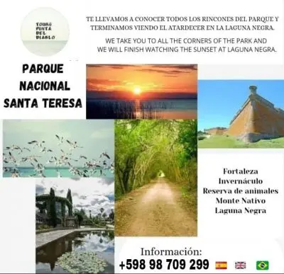 Tours Punta del Diablo 