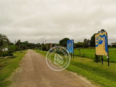 Memórias Vivas 19 de abril: un pueblo uruguayo renacido gracias al arte Rocha